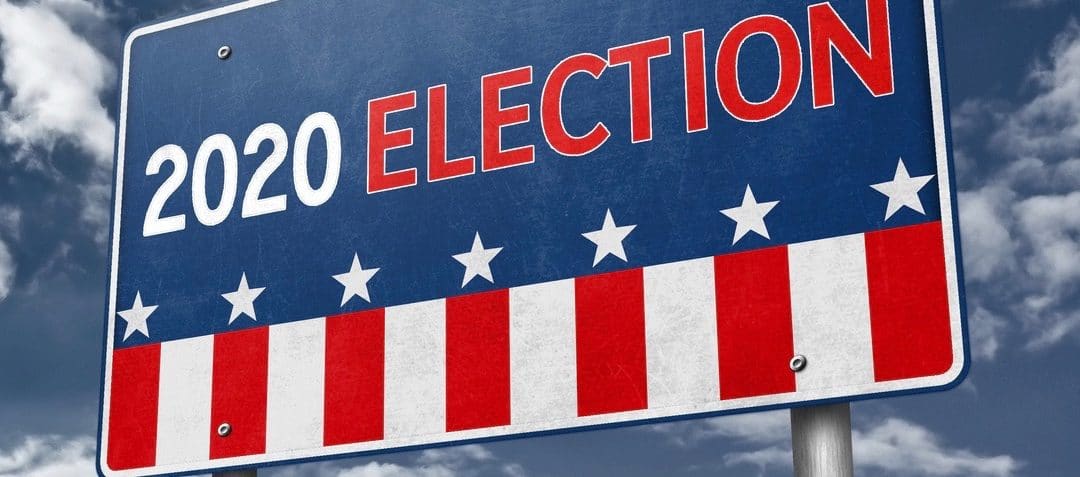 2020 Presidential Election in the United States of America